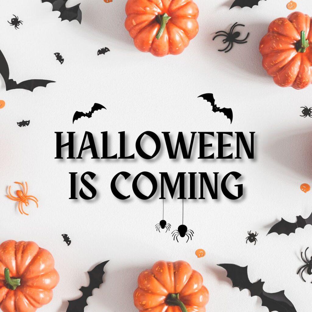 Halloween is coming. Dekorative Halloween-Pumpkins und Spinnennetze